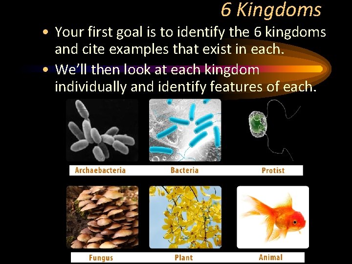 6 Kingdoms • Your first goal is to identify the 6 kingdoms and cite