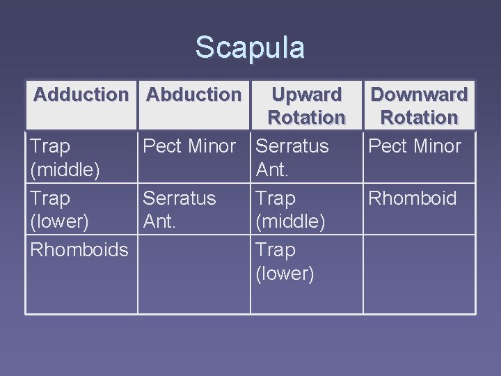 Scapula Adduction Abduction Upward Rotation Trap Pect Minor Serratus (middle) Ant. Trap Serratus Trap