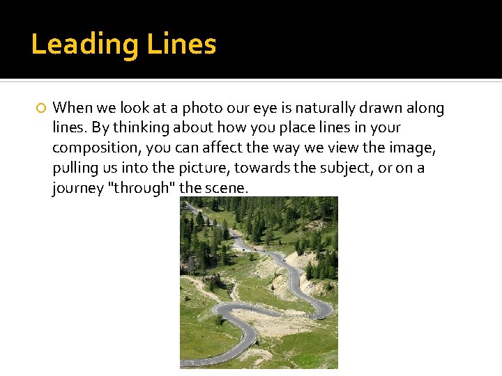 Leading Lines When we look at a photo our eye is naturally drawn along