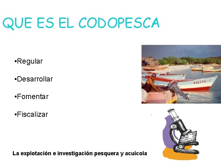 QUE ES EL CODOPESCA • Regular • Desarrollar • Fomentar • Fiscalizar La explotación