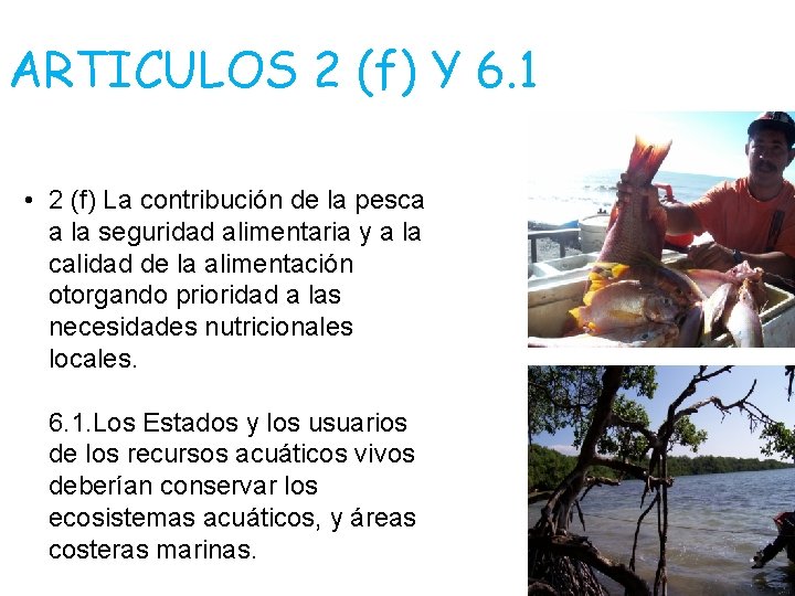 ARTICULOS 2 (f) Y 6. 1 • 2 (f) La contribución de la pesca