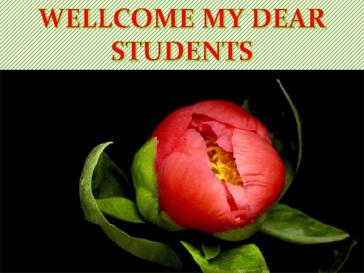 WELLCOME MY DEAR STUDENTS 