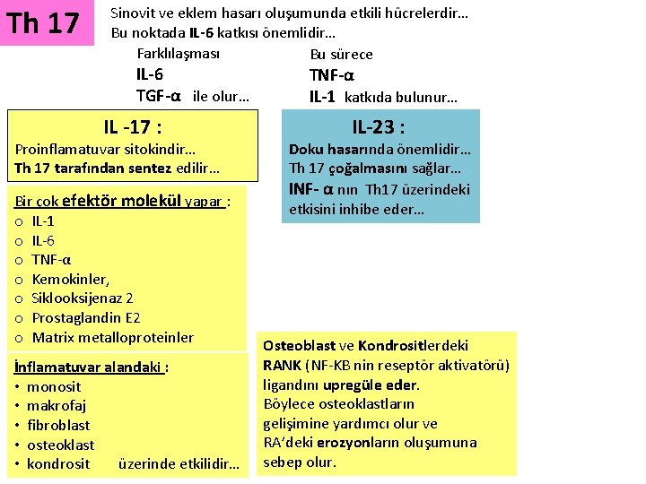 Th 17 Sinovit ve eklem hasarı oluşumunda etkili hücrelerdir… Bu noktada IL-6 katkısı önemlidir…