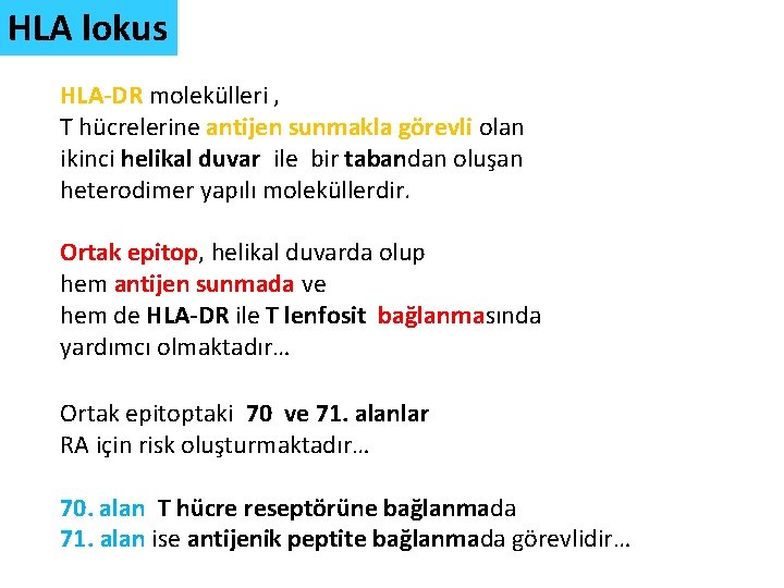 HLA lokus HLA-DR molekülleri , T hücrelerine antijen sunmakla görevli olan ikinci helikal duvar