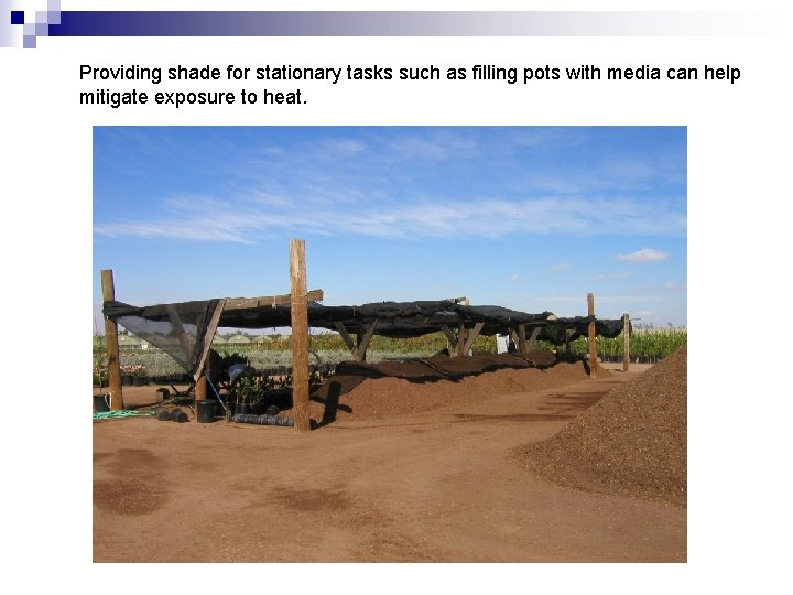 Providing shade for stationary tasks such as filling pots with media can help mitigate