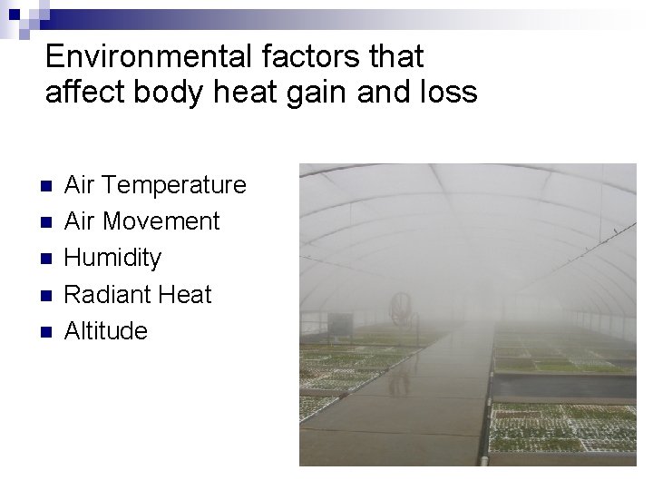 Environmental factors that affect body heat gain and loss n n n Air Temperature
