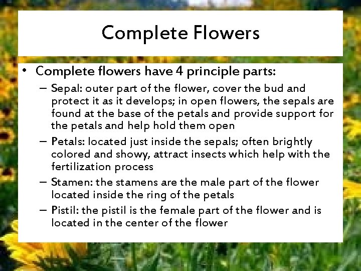 Flowers Introduction to Agriculture Plant Science Unit Flower