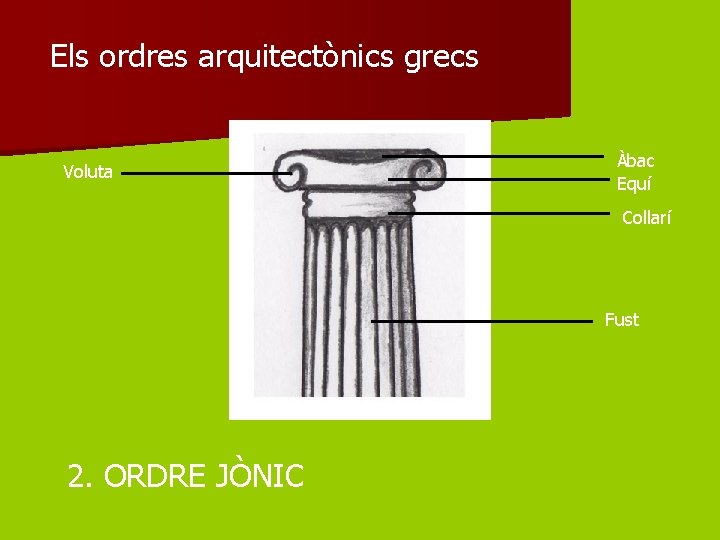 Els ordres arquitectònics grecs Voluta Àbac Equí Collarí Fust 2. ORDRE JÒNIC 