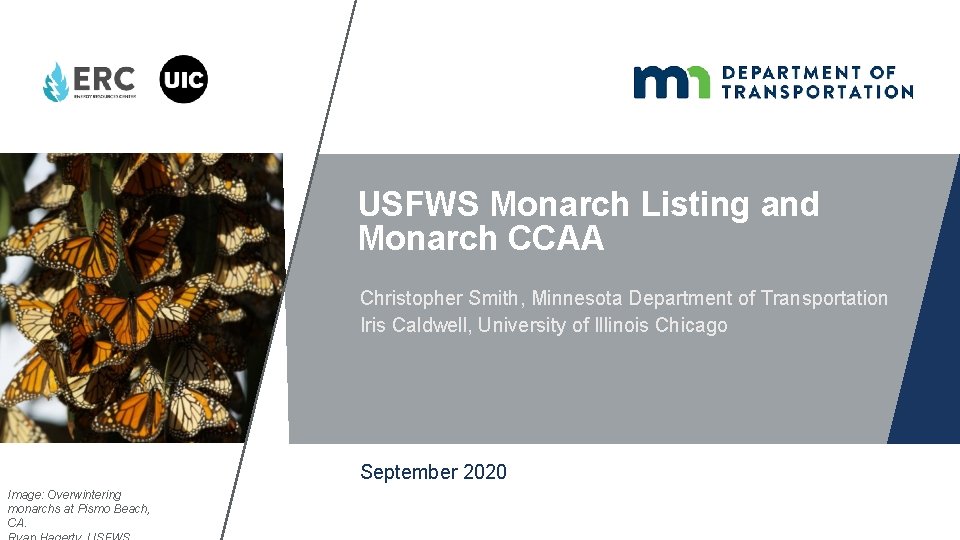 USFWS Monarch Listing and Monarch CCAA Christopher Smith, Minnesota Department of Transportation Iris Caldwell,