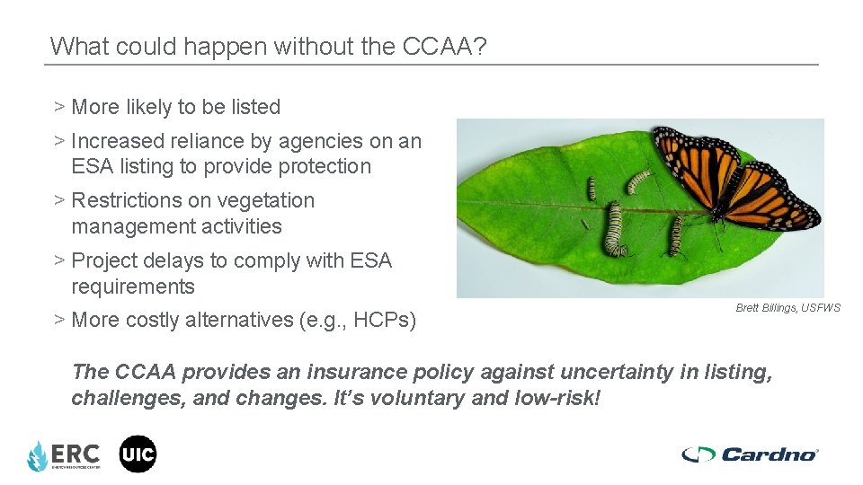 What could happen without the CCAA? > More likely to be listed > Increased