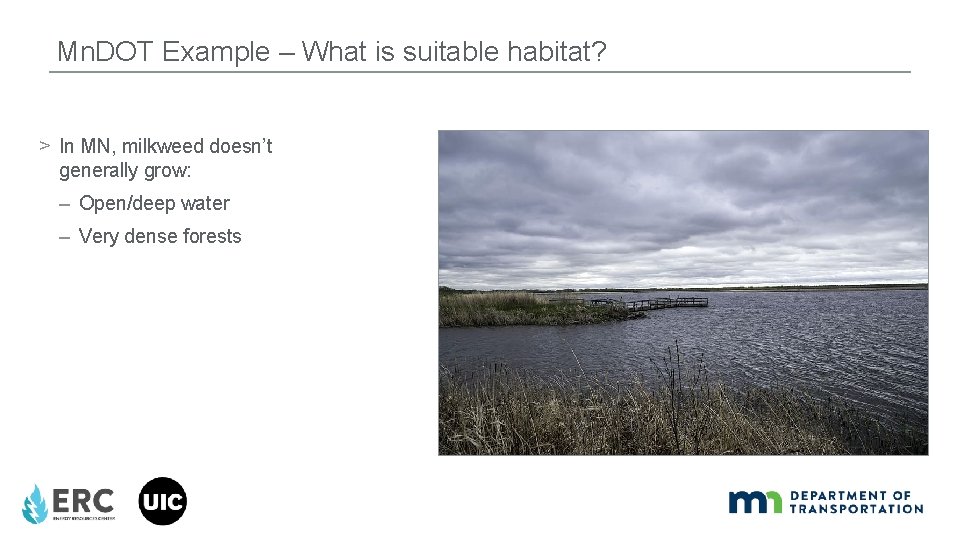 Mn. DOT Example – What is suitable habitat? > In MN, milkweed doesn’t generally