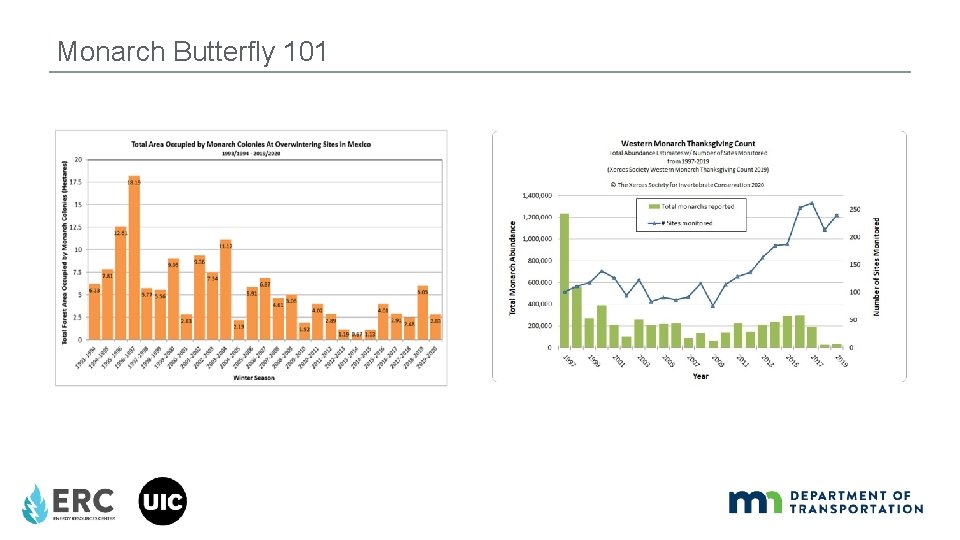 Monarch Butterfly 101 