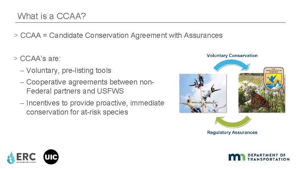 What is a CCAA? > CCAA = Candidate Conservation Agreement with Assurances > CCAA’s