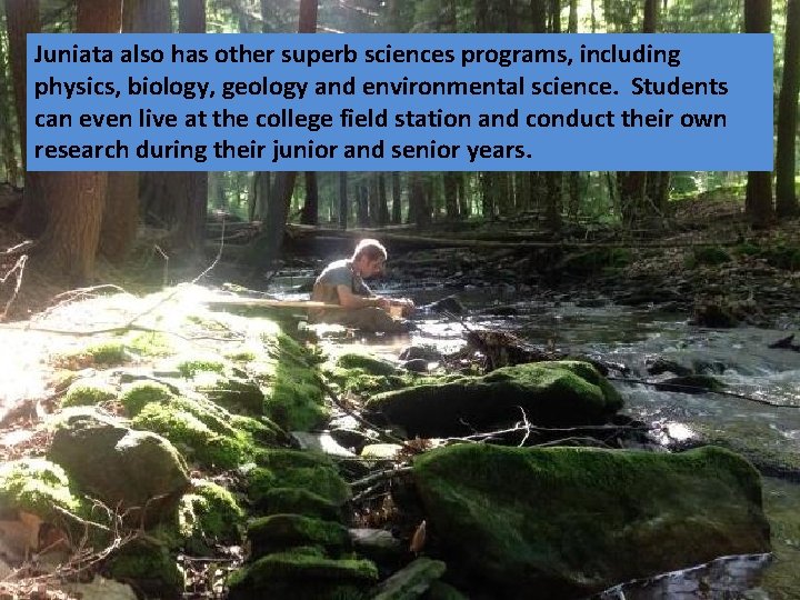Juniata also has other superb sciences programs, including physics, biology, geology and environmental science.