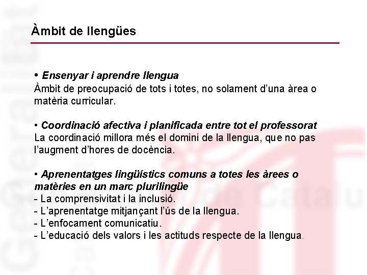 Àmbit de llengües • Ensenyar i aprendre llengua Àmbit de preocupació de tots i