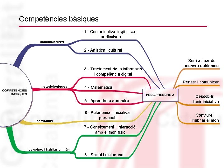 Competències bàsiques 