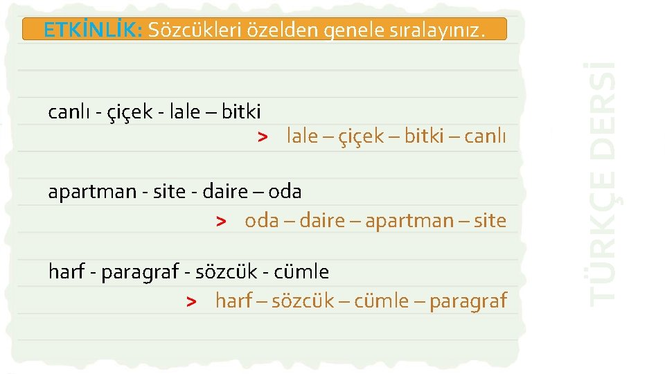 canlı - çiçek - lale – bitki > lale – çiçek – bitki –