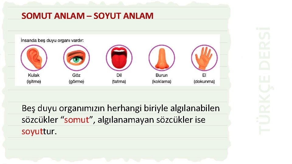 Beş duyu organımızın herhangi biriyle algılanabilen sözcükler “somut”, algılanamayan sözcükler ise soyuttur. TÜRKÇE DERSİ