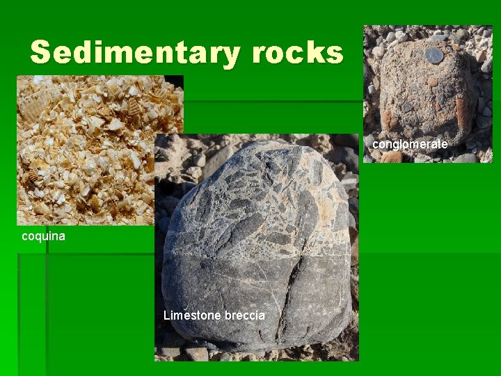 Sedimentary rocks conglomerate coquina Limestone breccia 