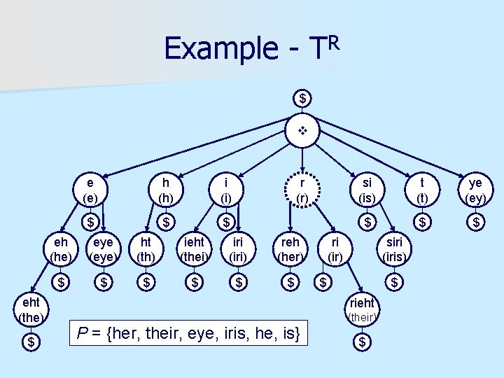 Example - TR $ eht (the) $ e (e) h (h) i (i) $