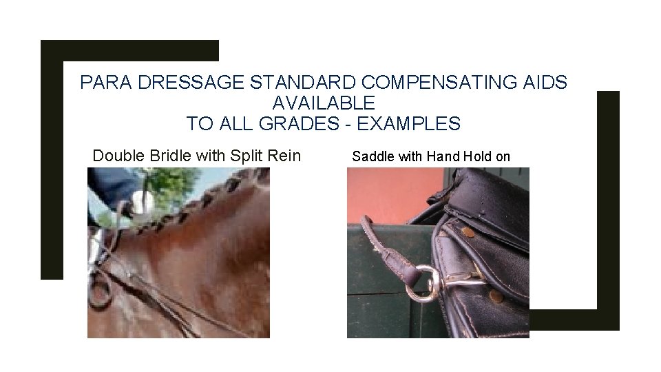 PARA DRESSAGE STANDARD COMPENSATING AIDS AVAILABLE TO ALL GRADES - EXAMPLES Double Bridle with