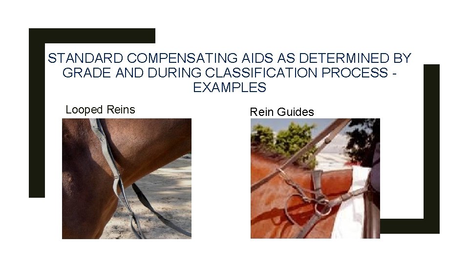 STANDARD COMPENSATING AIDS AS DETERMINED BY GRADE AND DURING CLASSIFICATION PROCESS EXAMPLES Looped Reins