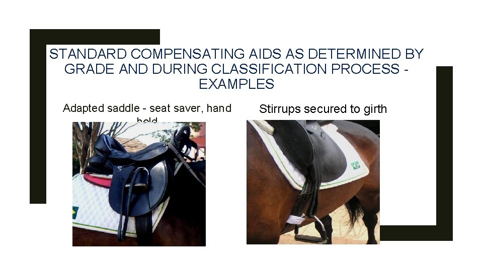 STANDARD COMPENSATING AIDS AS DETERMINED BY GRADE AND DURING CLASSIFICATION PROCESS EXAMPLES Adapted saddle