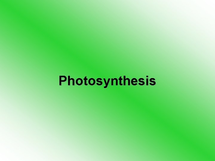 Photosynthesis 