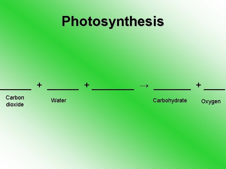 Photosynthesis ______ + ____ → _______ + ____ Carbon dioxide Water Carbohydrate Oxygen 