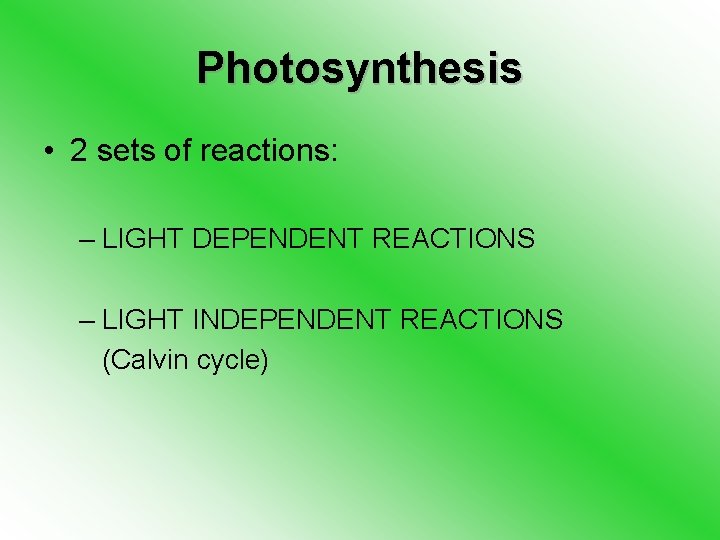 Photosynthesis • 2 sets of reactions: – LIGHT DEPENDENT REACTIONS – LIGHT INDEPENDENT REACTIONS