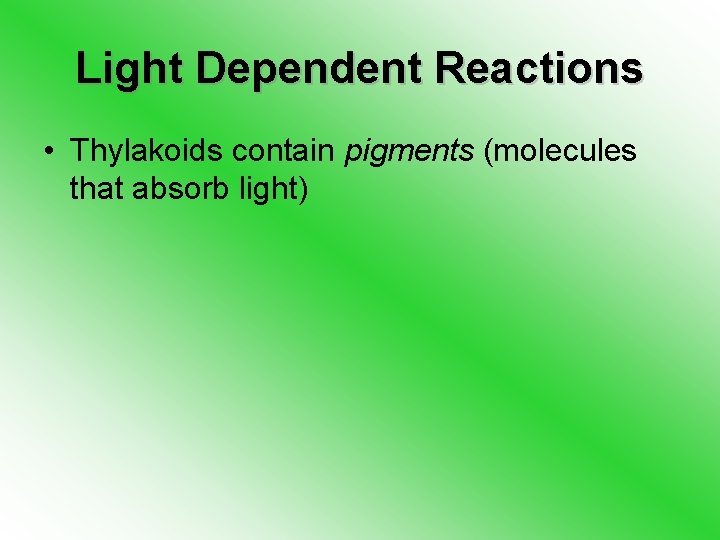 Light Dependent Reactions • Thylakoids contain pigments (molecules that absorb light) 