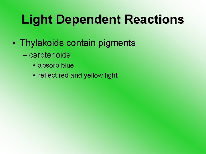 Light Dependent Reactions • Thylakoids contain pigments – carotenoids • absorb blue • reflect