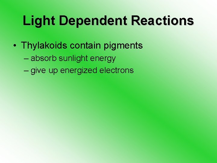 Light Dependent Reactions • Thylakoids contain pigments – absorb sunlight energy – give up