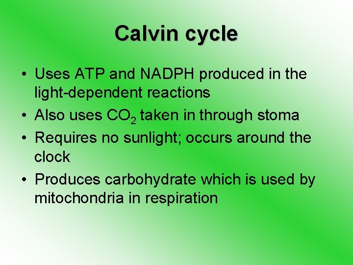 Calvin cycle • Uses ATP and NADPH produced in the light-dependent reactions • Also