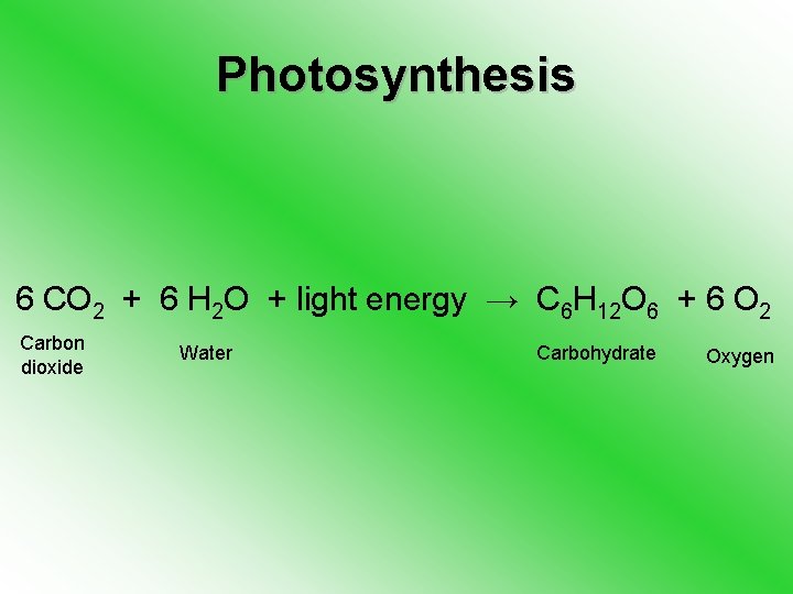 Photosynthesis 6 CO 2 + 6 H 2 O + light energy → C