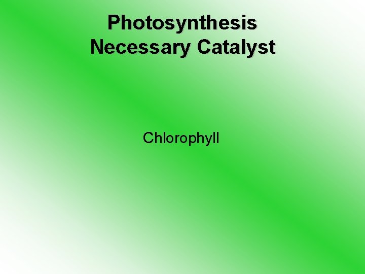 Photosynthesis Necessary Catalyst Chlorophyll 