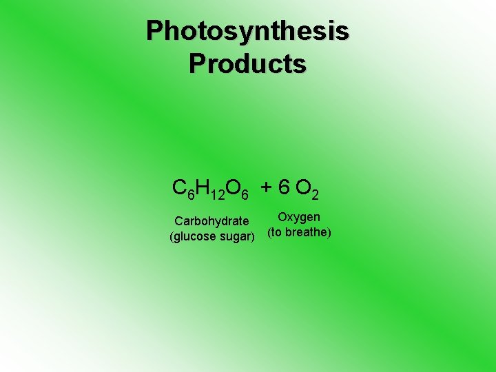 Photosynthesis Products C 6 H 12 O 6 + 6 O 2 Oxygen Carbohydrate
