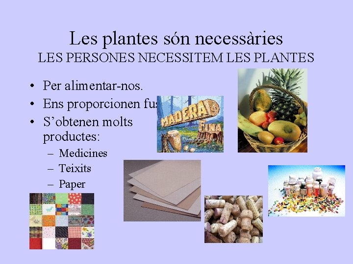 Les plantes són necessàries LES PERSONES NECESSITEM LES PLANTES • Per alimentar-nos. • Ens
