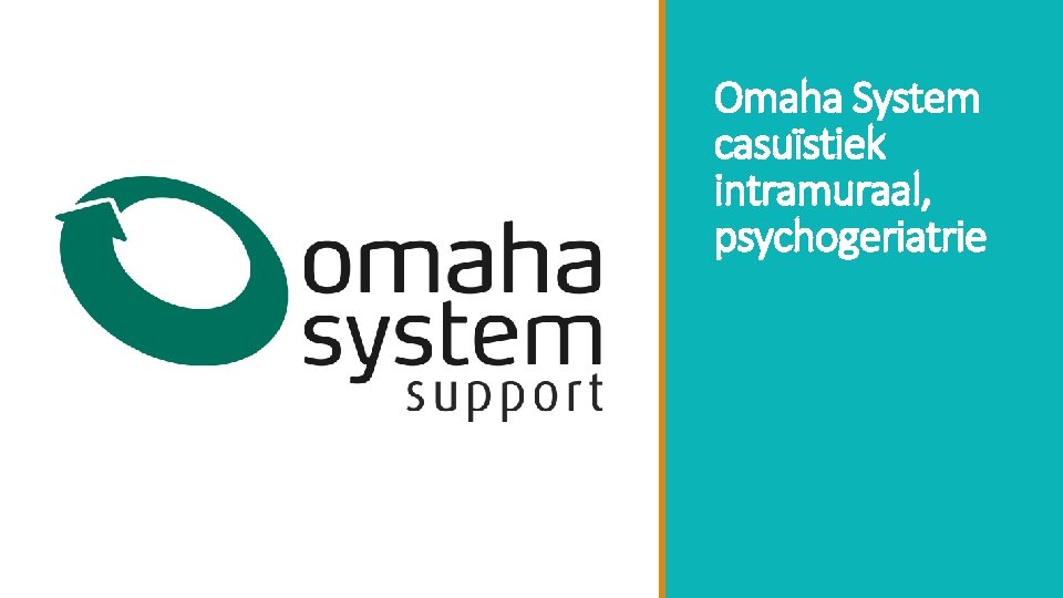 Omaha System casuïstiek intramuraal, psychogeriatrie 