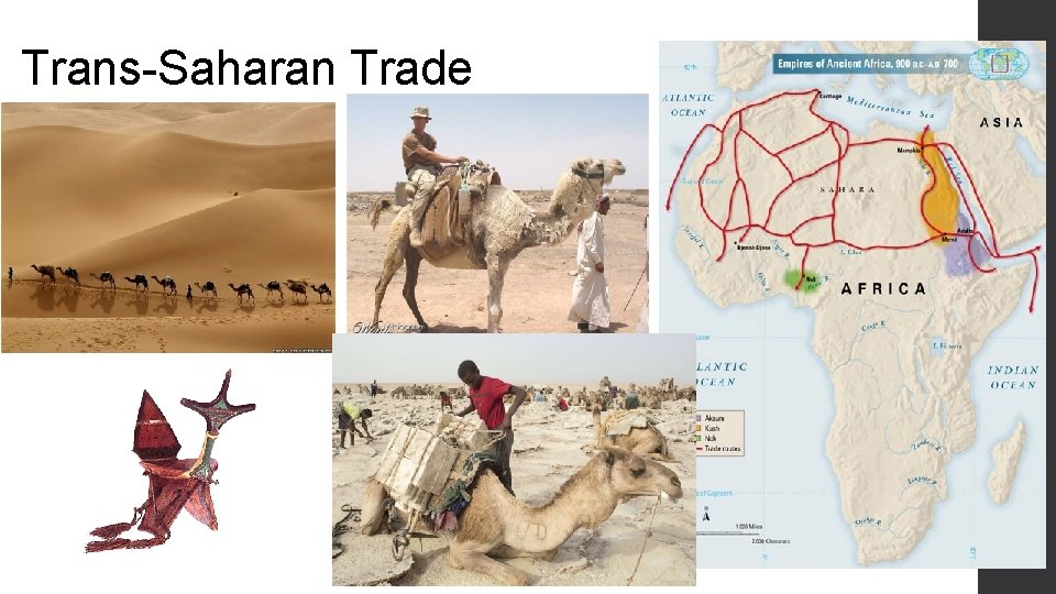 Trans-Saharan Trade 