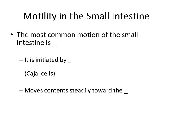 Motility in the Small Intestine • The most common motion of the small intestine