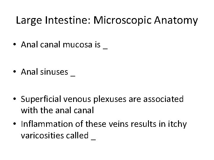 Large Intestine: Microscopic Anatomy • Anal canal mucosa is _ • Anal sinuses _