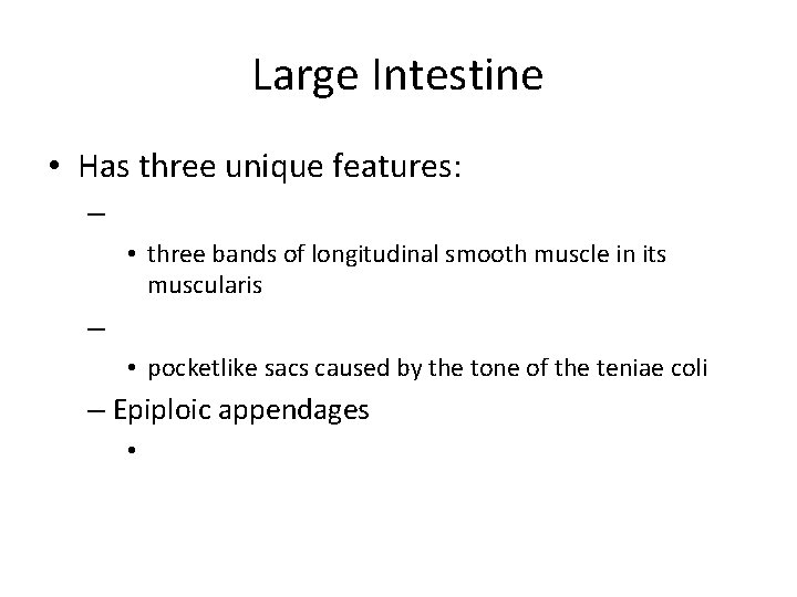 Large Intestine • Has three unique features: – • three bands of longitudinal smooth