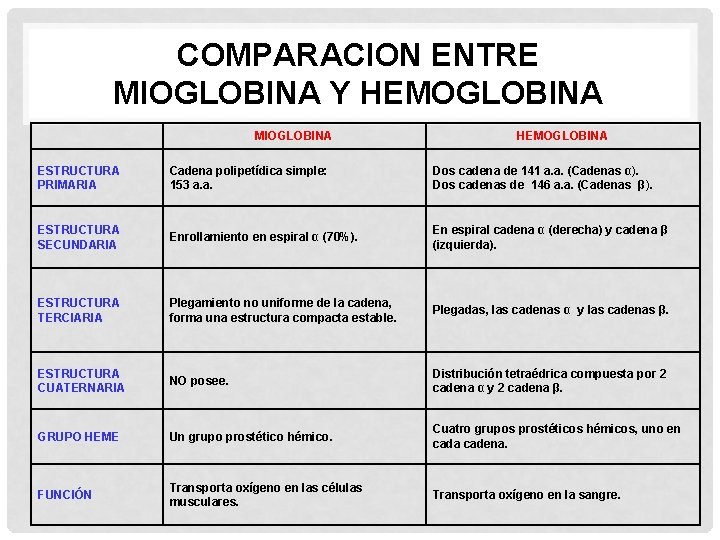 COMPARACION ENTRE MIOGLOBINA Y HEMOGLOBINA MIOGLOBINA HEMOGLOBINA ESTRUCTURA PRIMARIA Cadena polipetídica simple: 153 a.