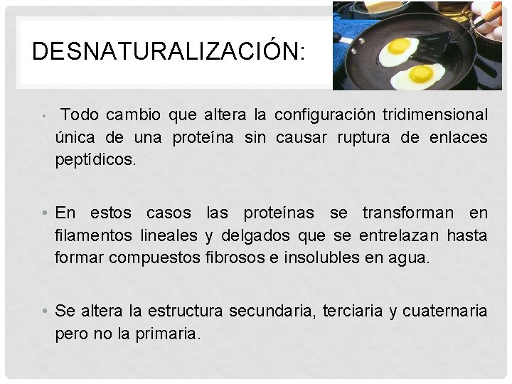 DESNATURALIZACIÓN: • Todo cambio que altera la configuración tridimensional única de una proteína sin