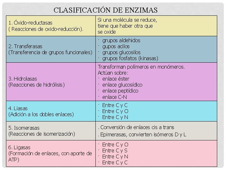 CLASIFICACIÓN DE ENZIMAS 1. Óxido-reductasas ( Reacciones de oxido-reducción). Si una molécula se reduce,