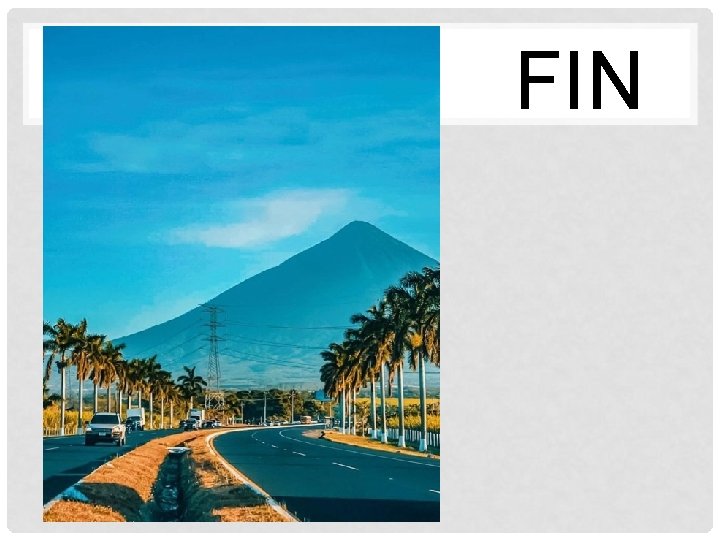 FIN 