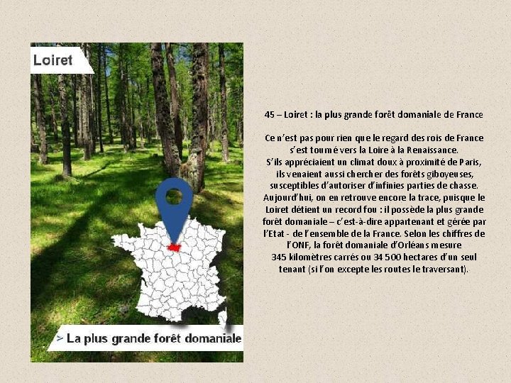 45 – Loiret : la plus grande forêt domaniale de France Ce n’est pas