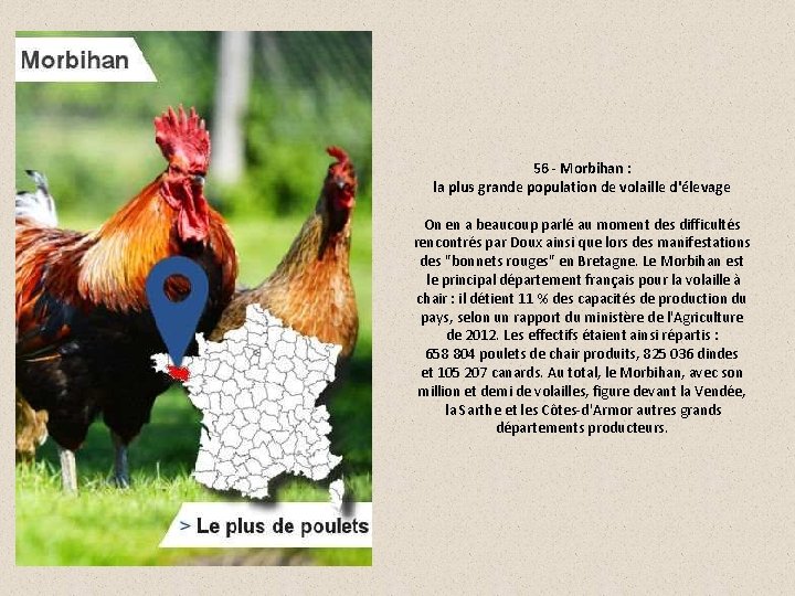 56 - Morbihan : la plus grande population de volaille d'élevage On en a