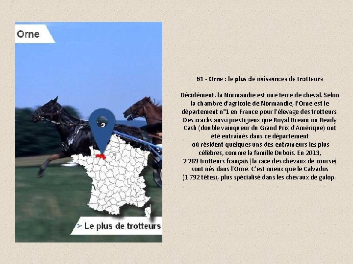 61 - Orne : le plus de naissances de trotteurs Décidément, la Normandie est
